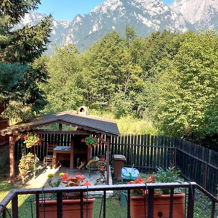 B House Buşteni Exteriör bild