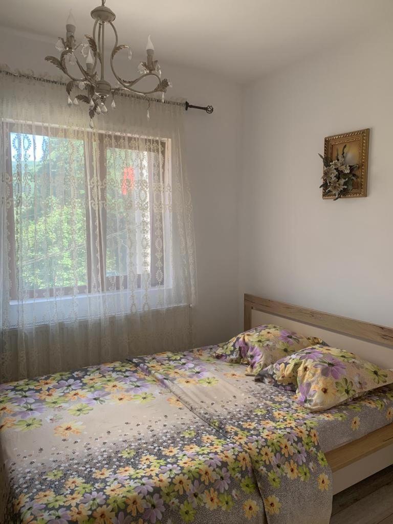 B House Buşteni Exteriör bild
