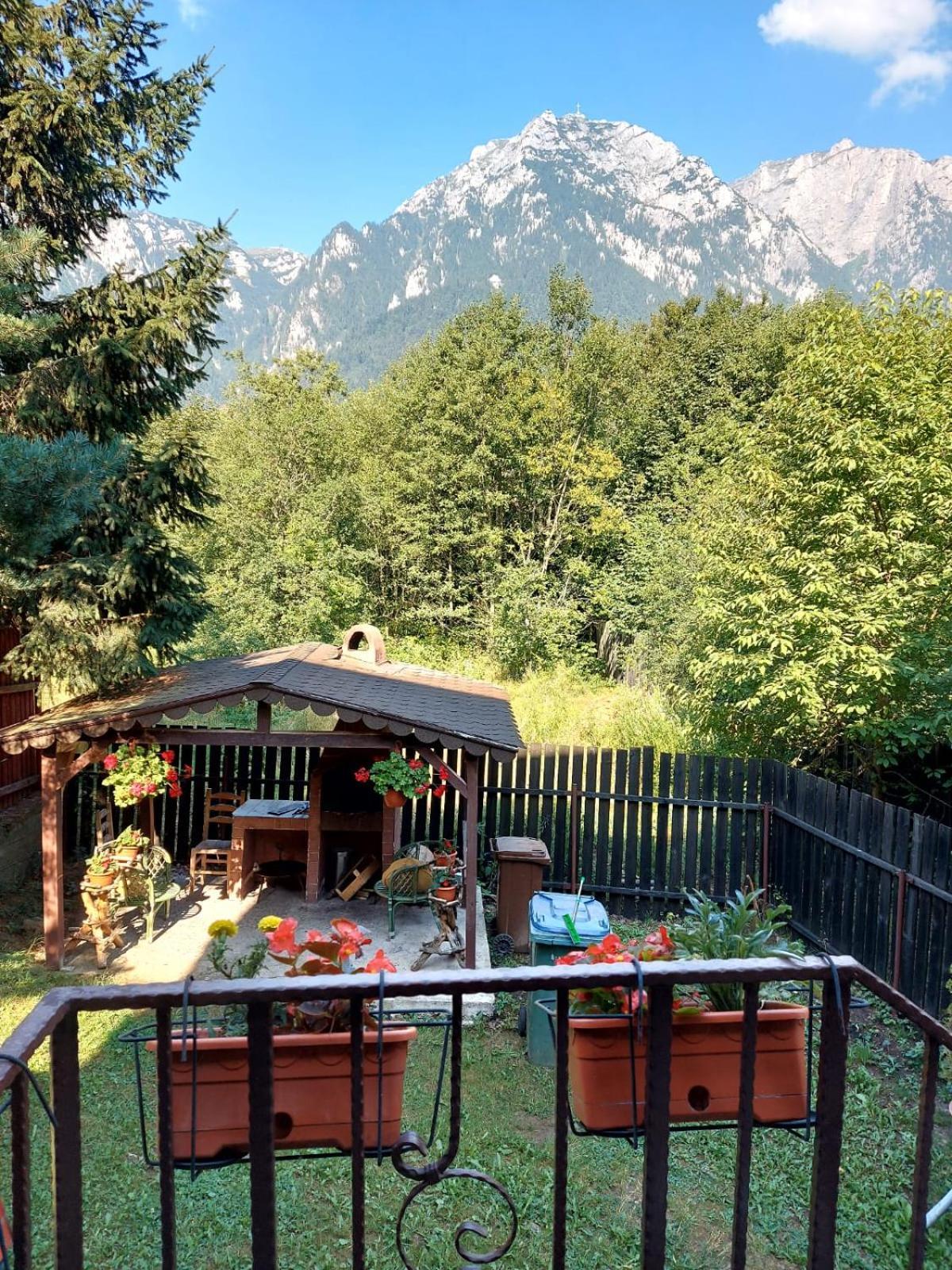 B House Buşteni Exteriör bild